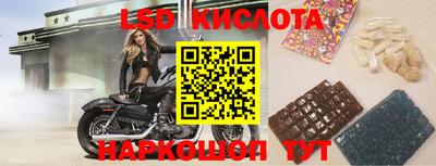 гашик Новозыбков