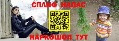 стаф Новокубанск