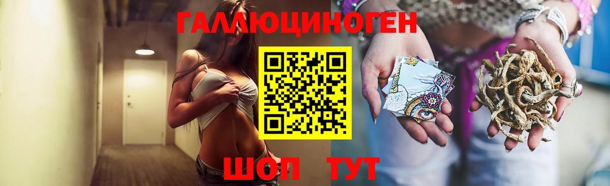 Псилоцибиновые грибы GOLDEN TEACHER Нягань