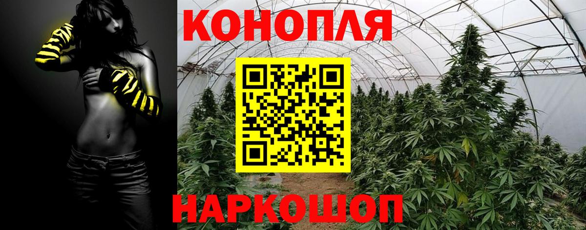 Нягань  МАРИХУАНА OG Kush  Вход с VPN  Бошки марихуана планчик 